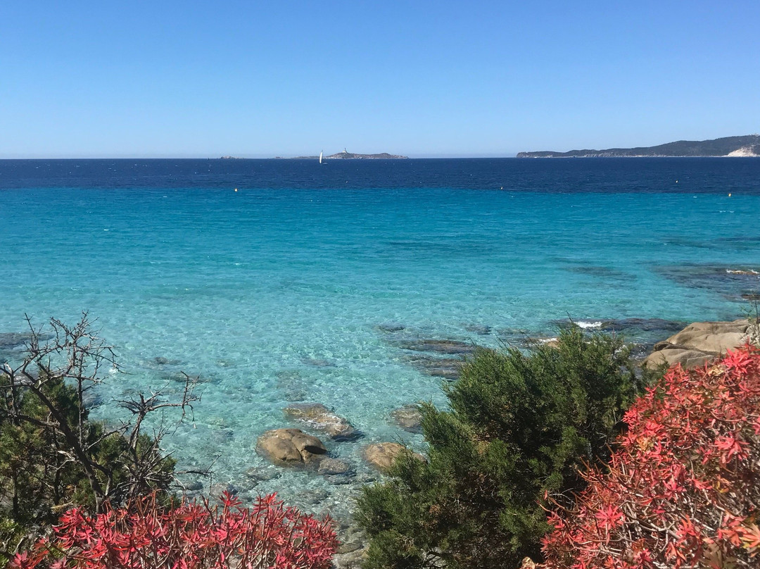 Escursioni e Trekking Dolceluna-San Priamo必去景点