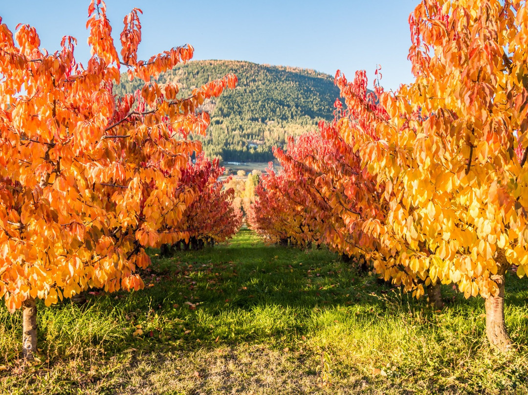 Creston Valley Visitor Centre-Creston必去景点