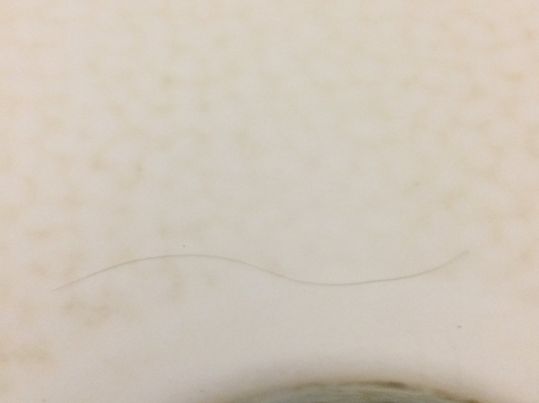 Palm Tree Villas主图