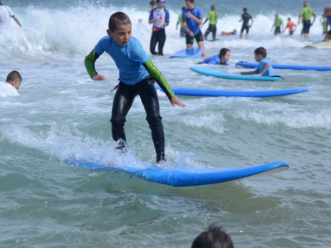 Sharkpool Surf School景点图片