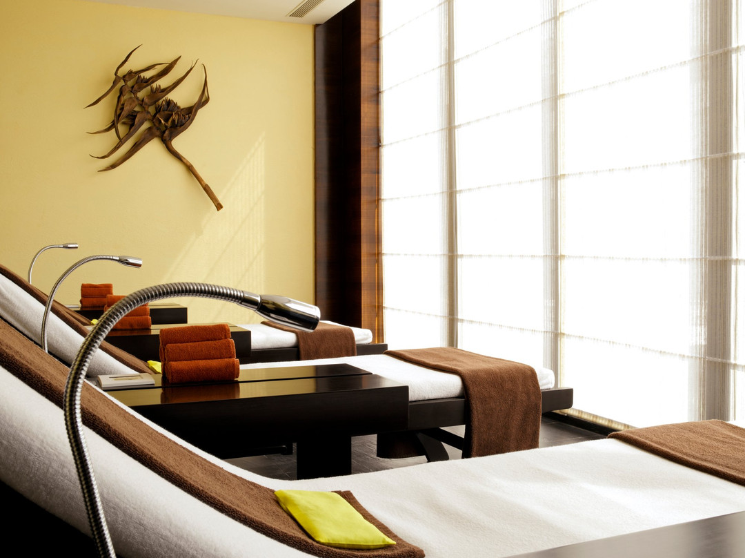 The Spa at Hyatt Hyderabad景点图片