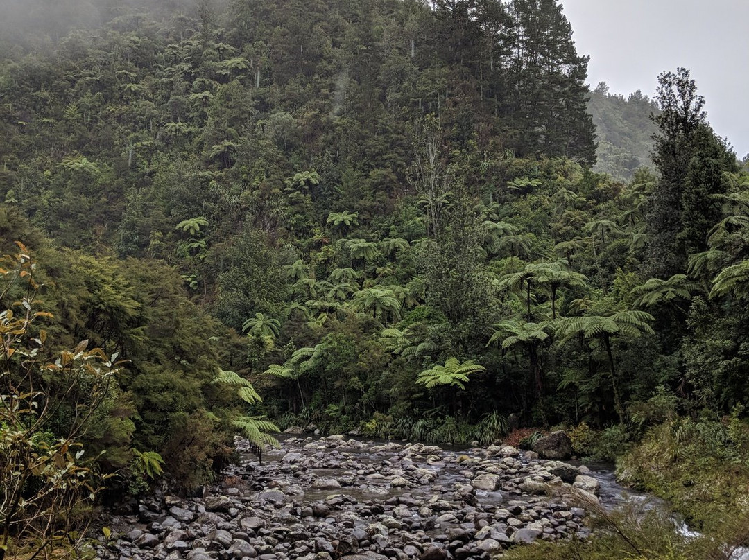Waitawheta Tramway-陶兰加必去景点