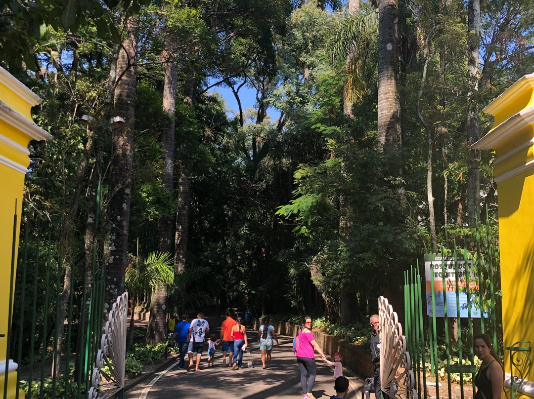 Bosque dos Jequitibas景点图片