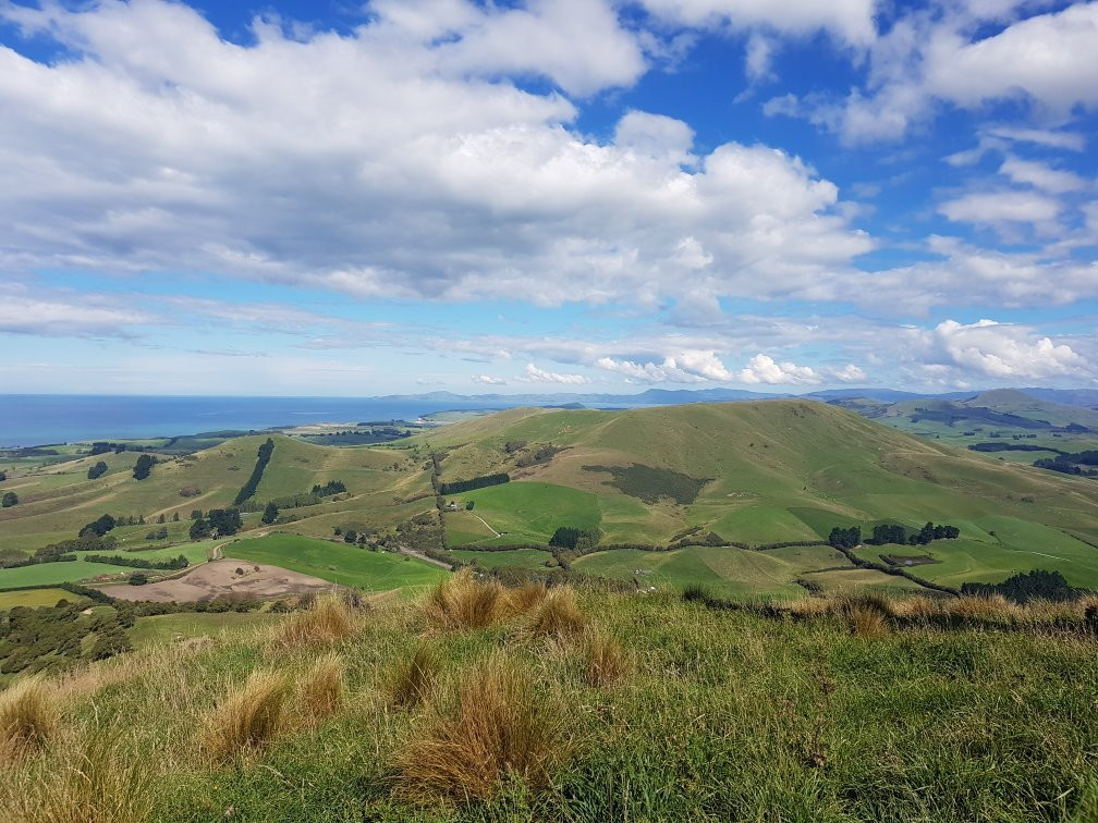 Waikouaiti旅游攻略图片