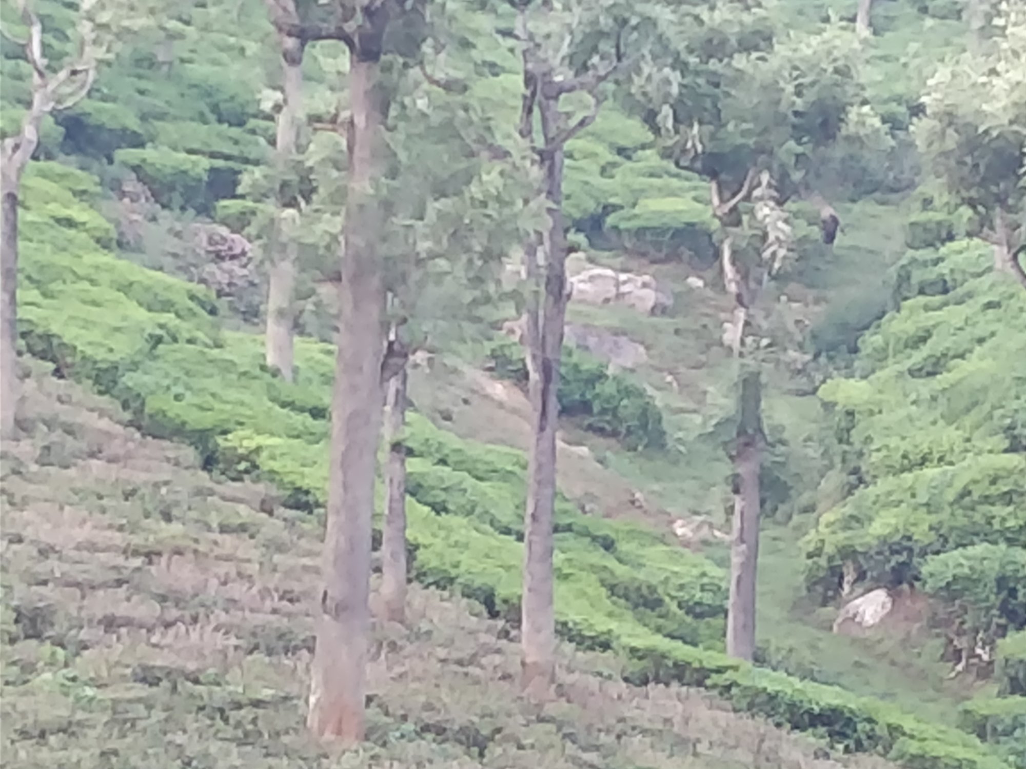 Rustling River Resort-酒店景观