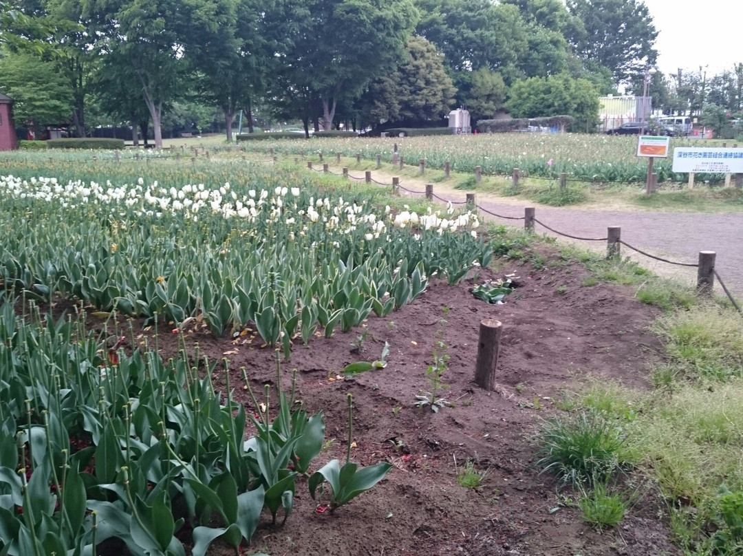 Aqua Paradise Patio-深谷市必去景点