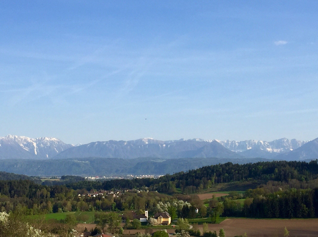 Weingut Karnburg景点图片