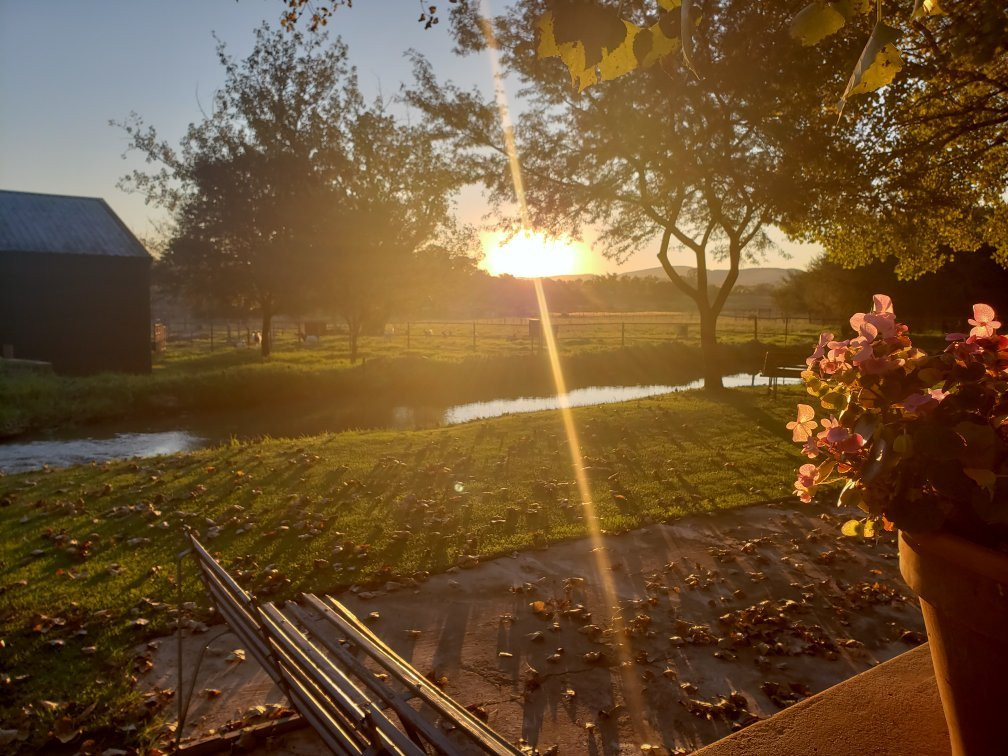 African Olive Country Estate主图