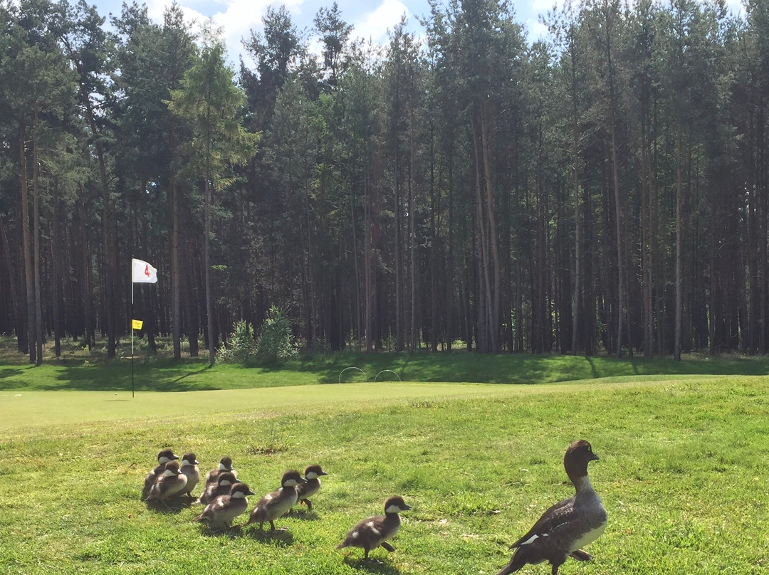 Berliner Golf- und Country Club Motzener See