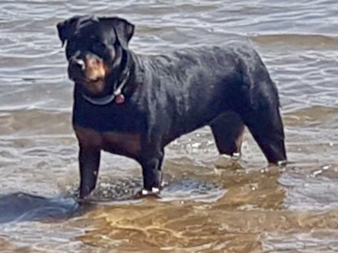 Naval Island-理查兹湾必去景点