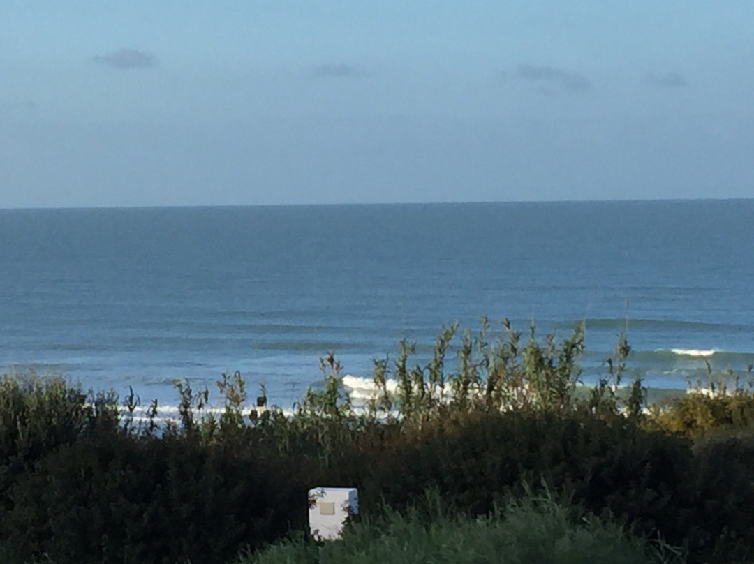Trafalgar Surf School-Conil de la Frontera必去景点