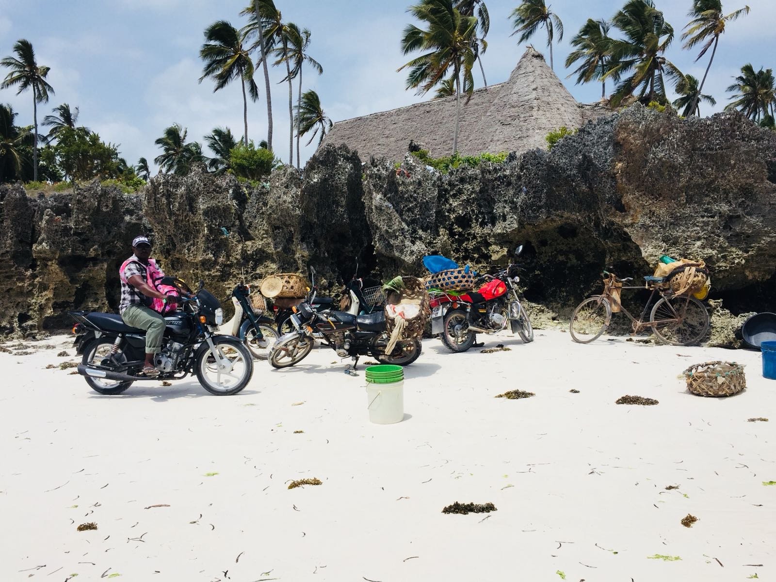 Jafferji Beach Retreat-酒店景观