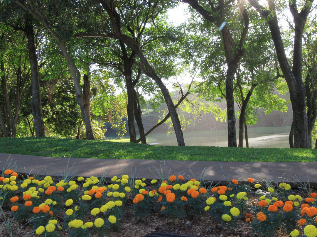 Lago Municipal de Ubiratã-Ubirata必去景点