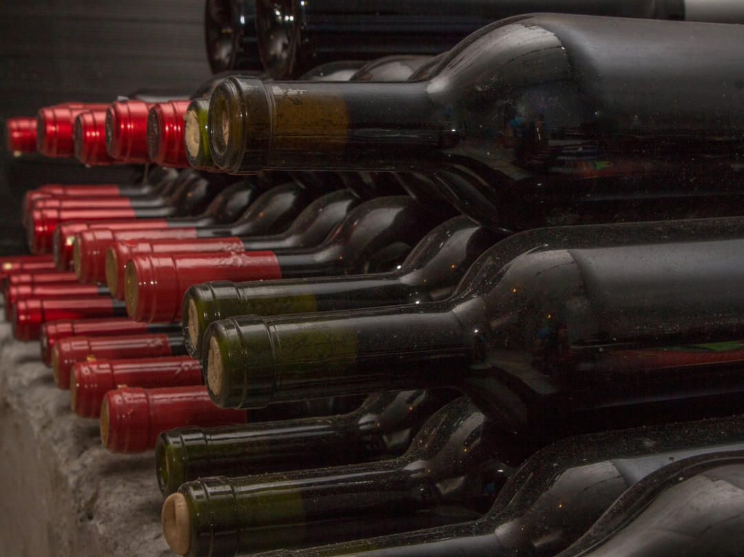 Art & Wine House Montenegro-Beri必去景点