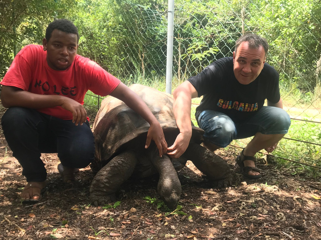 Ibra Taxi Driver Zanzibar-帕杰必去景点