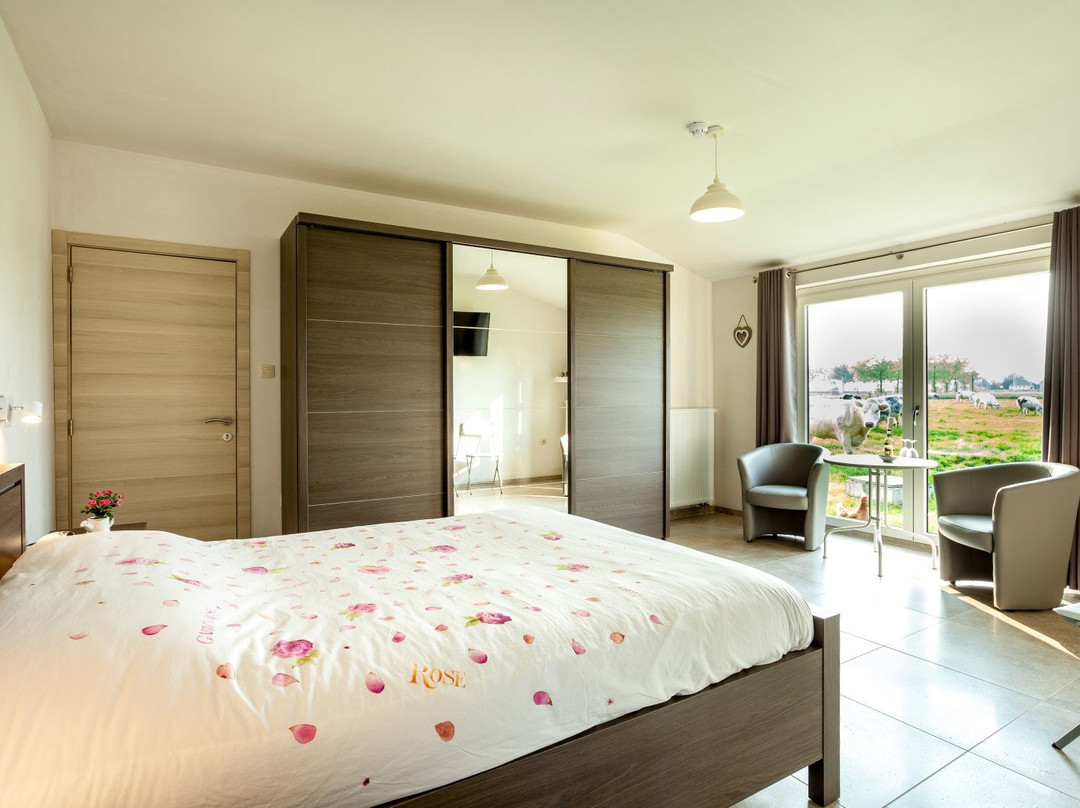 B&B Het Polderhof主图