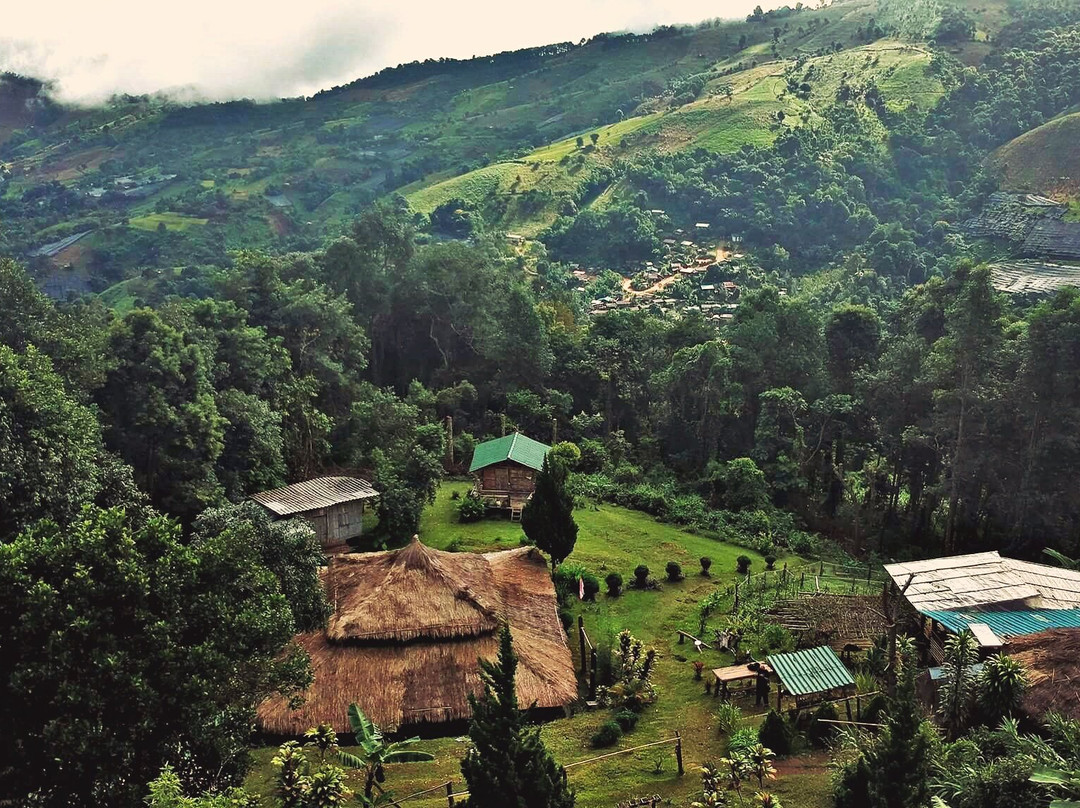 Mountain Muay Thai景点图片