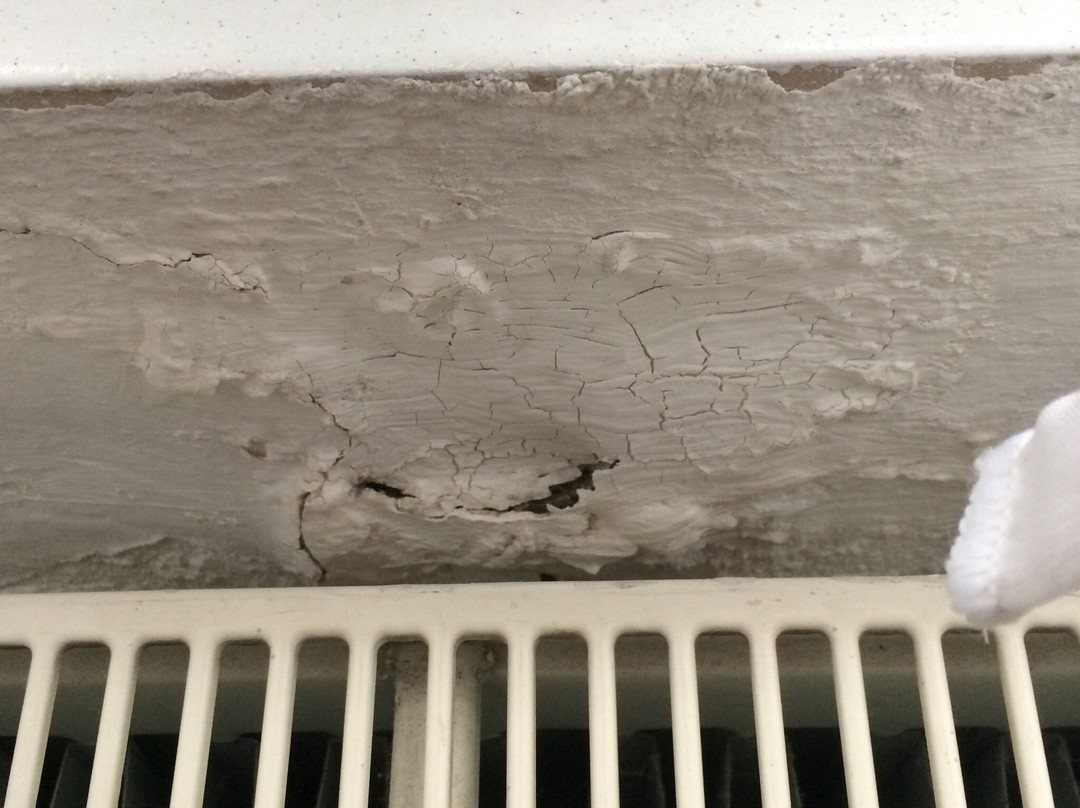 Hotel Brauhaus主图