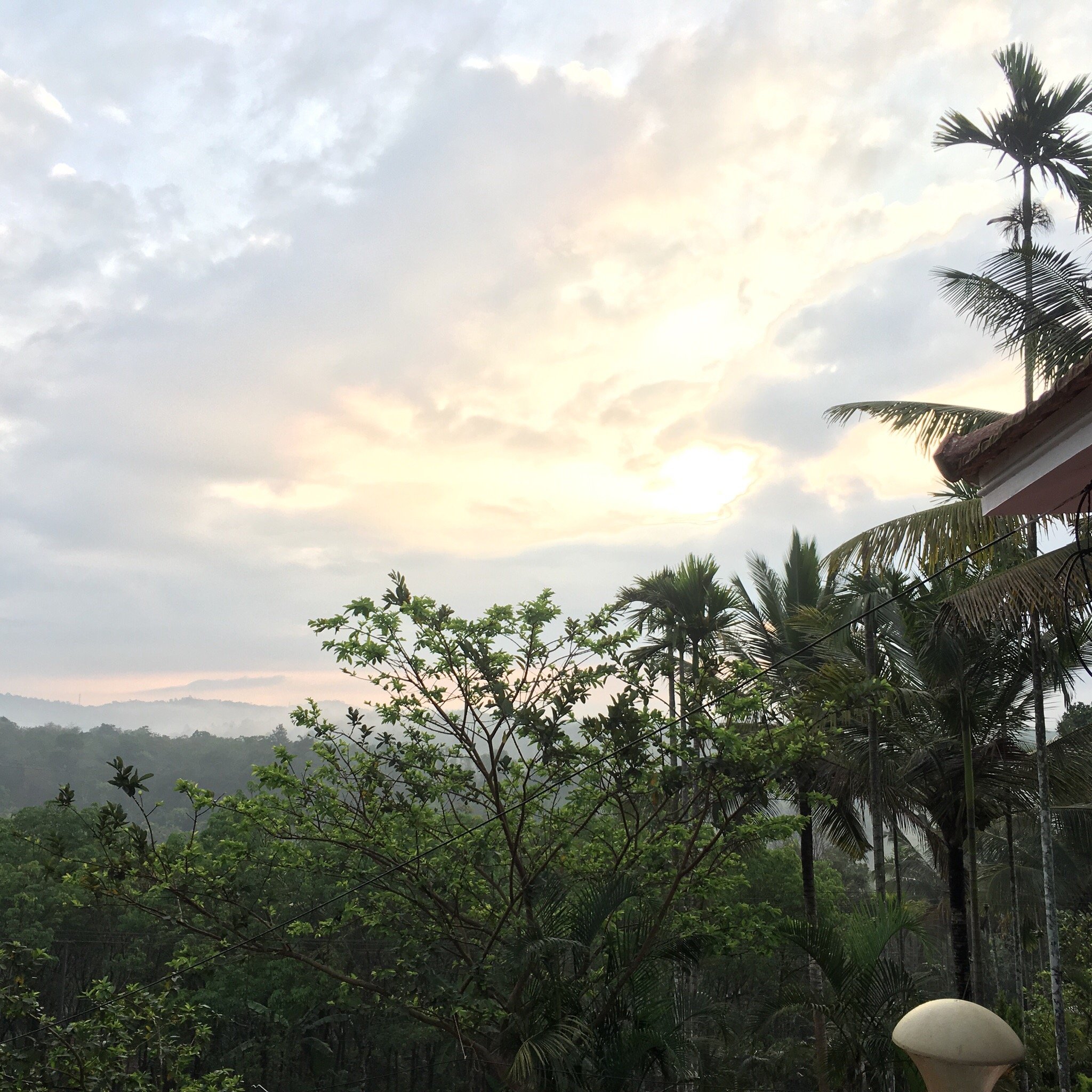 County Pep Homestay-官方