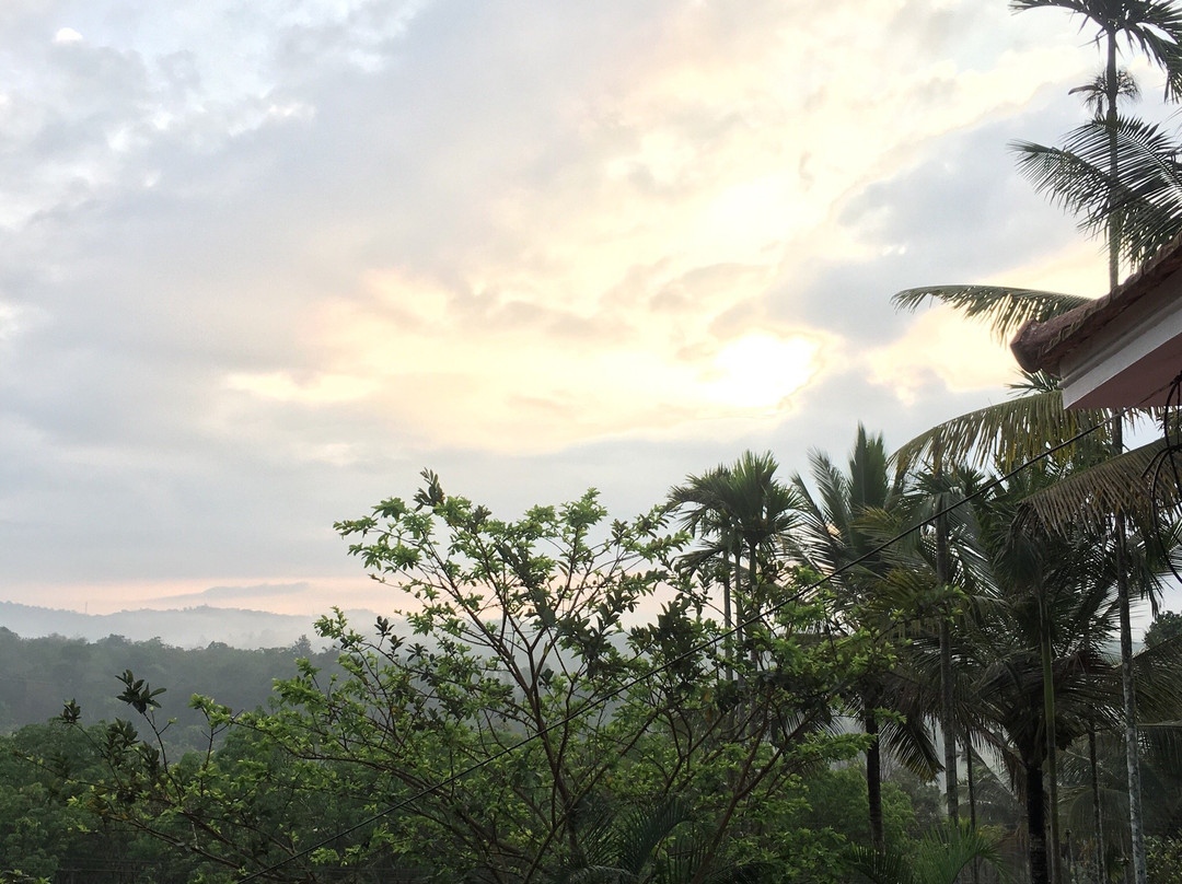 County Pep Homestay主图