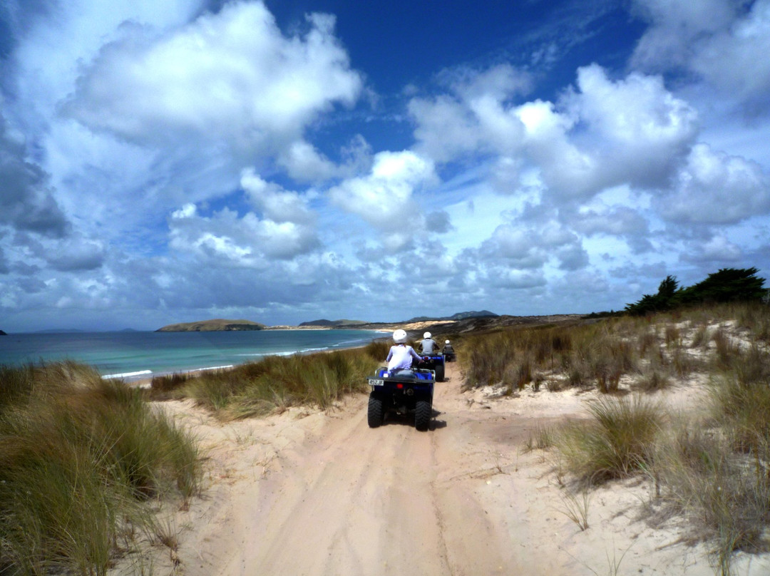 Seatoys Private Quad Bike Tours-凯塔亚必去景点