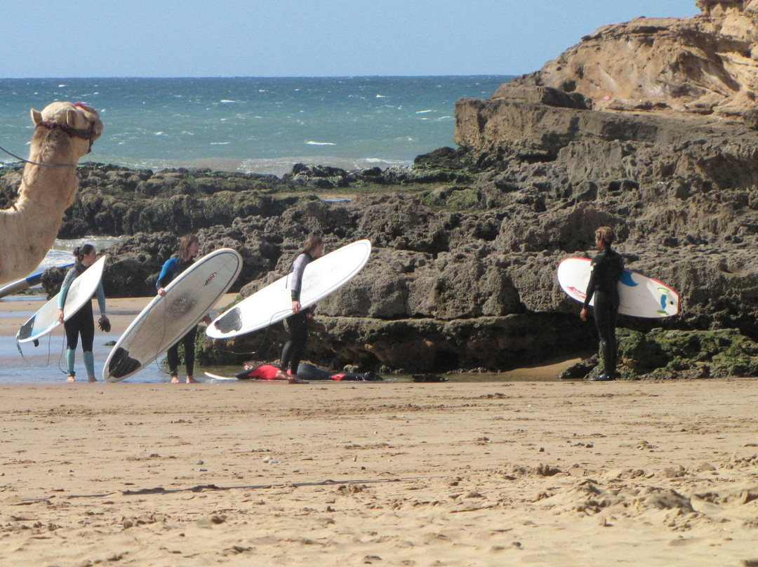 Surf & Travel Camp Morocco景点图片