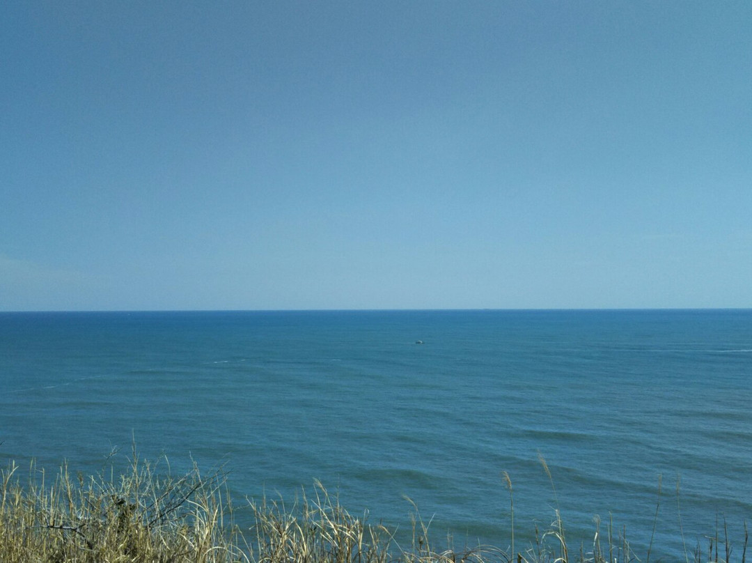 Cape Taito-夷隅市必去景点