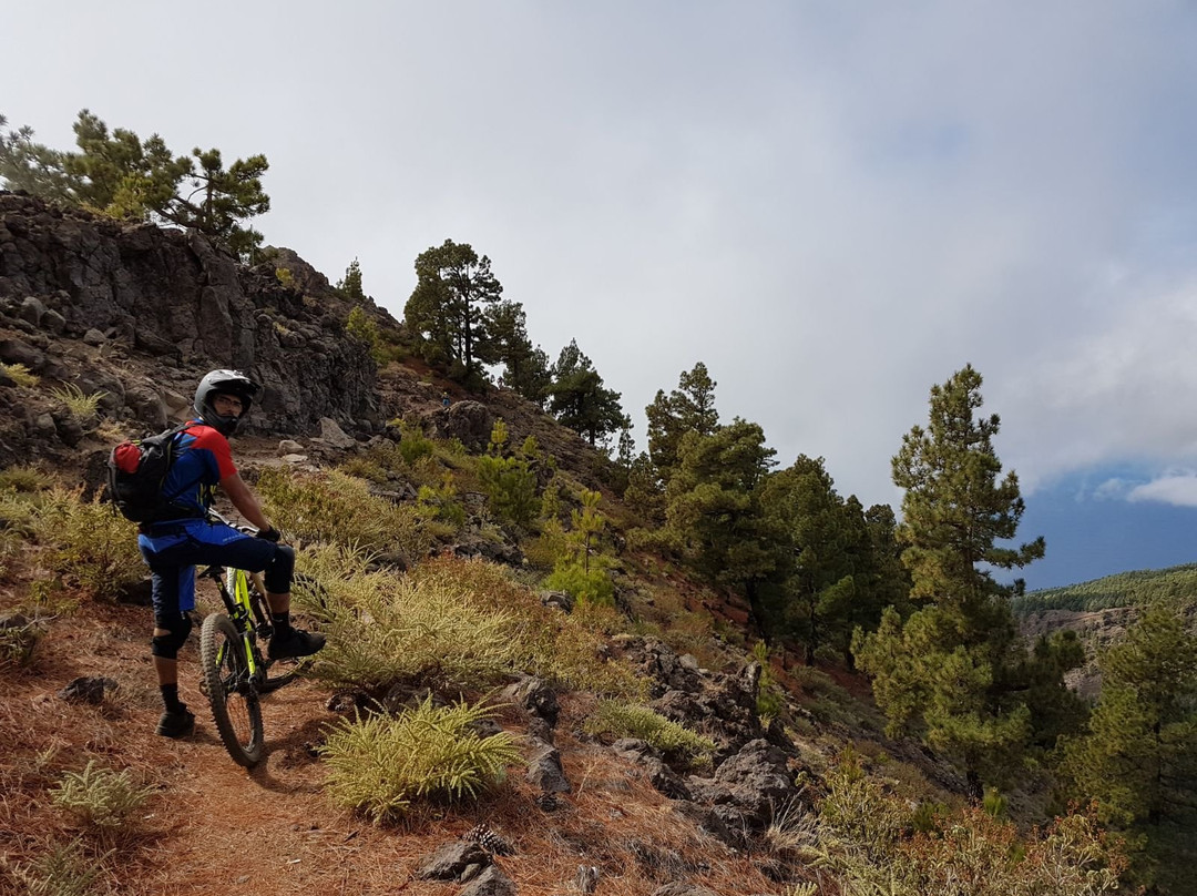 Mountain Bike Paradise景点图片