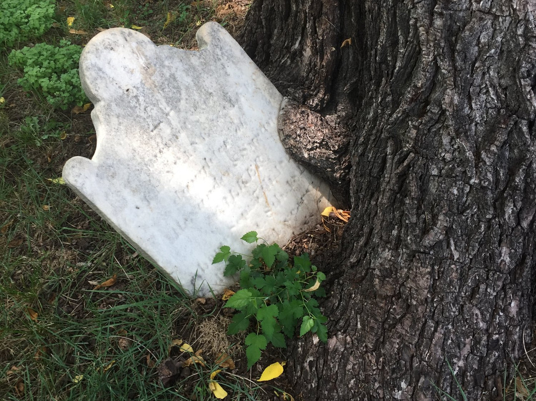 Old Masonic Cemetery景点图片