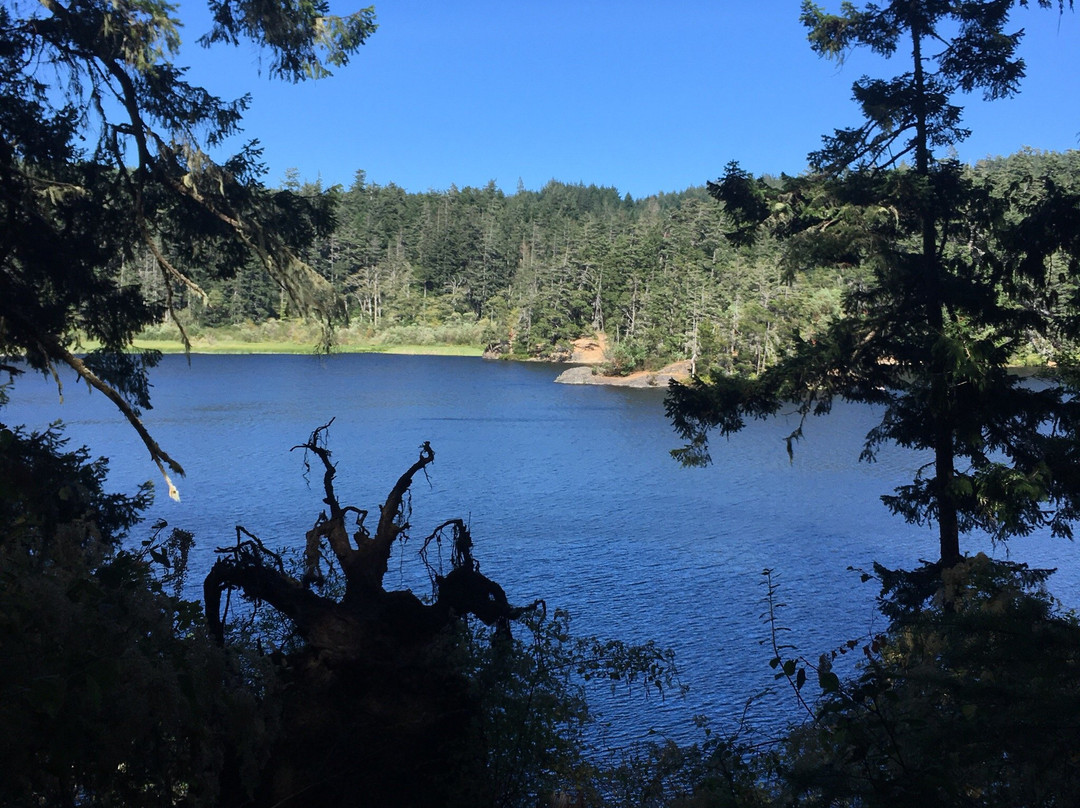 Matheson Lake Regional Park景点图片