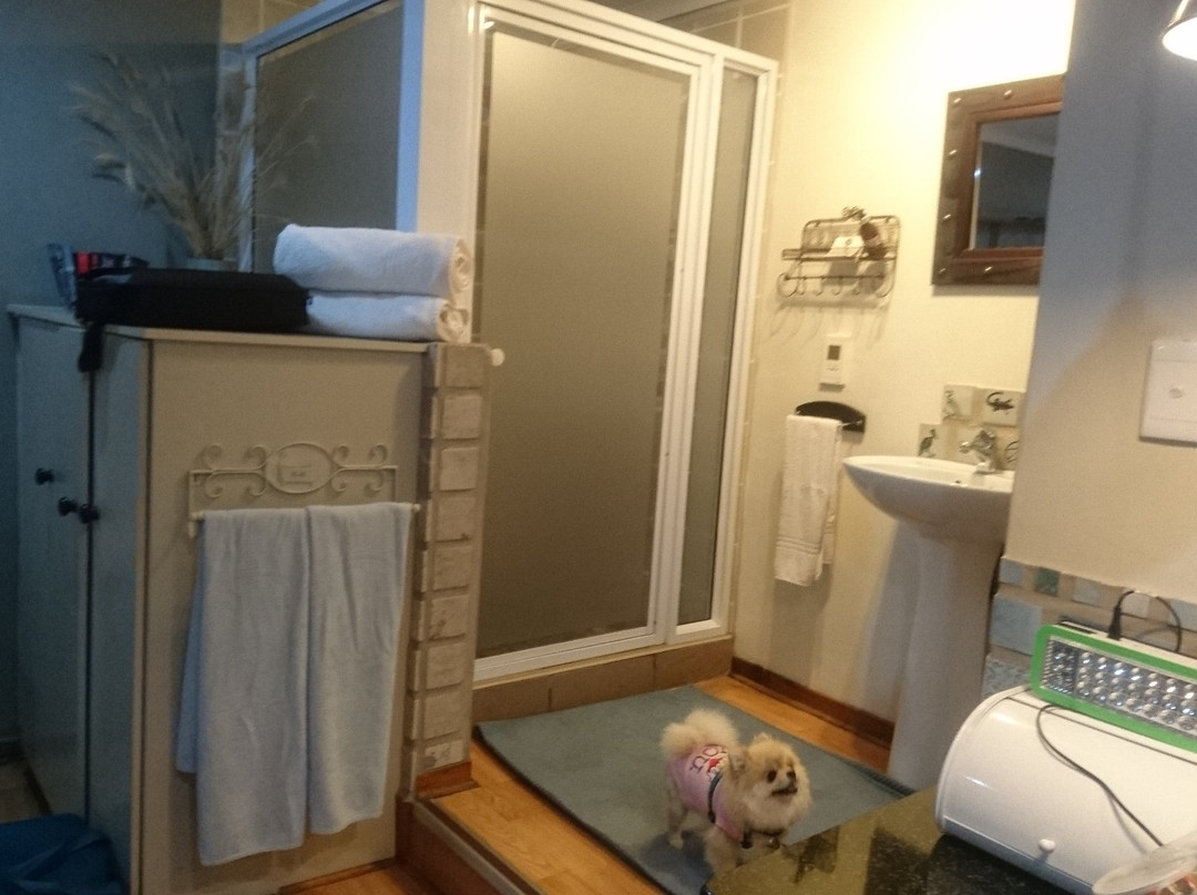 Babbling Brook Bed and Breakfast主图