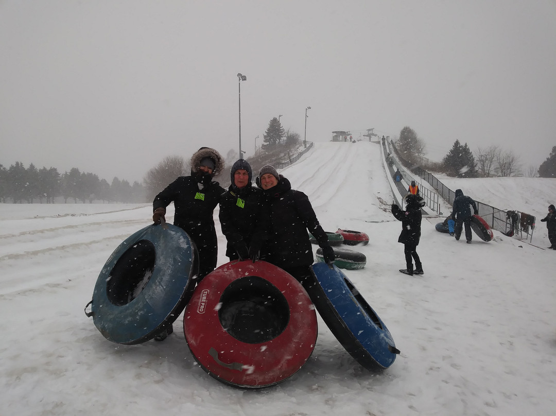 Villa Olivia-Bartlett必去景点