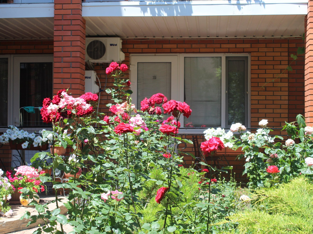 Guest House Villa Blues主图