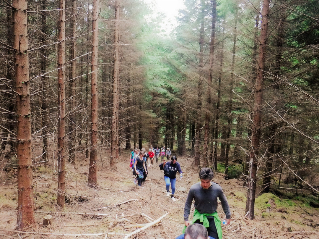Hidden Trails Guided Tours-Graiguenamanagh必去景点