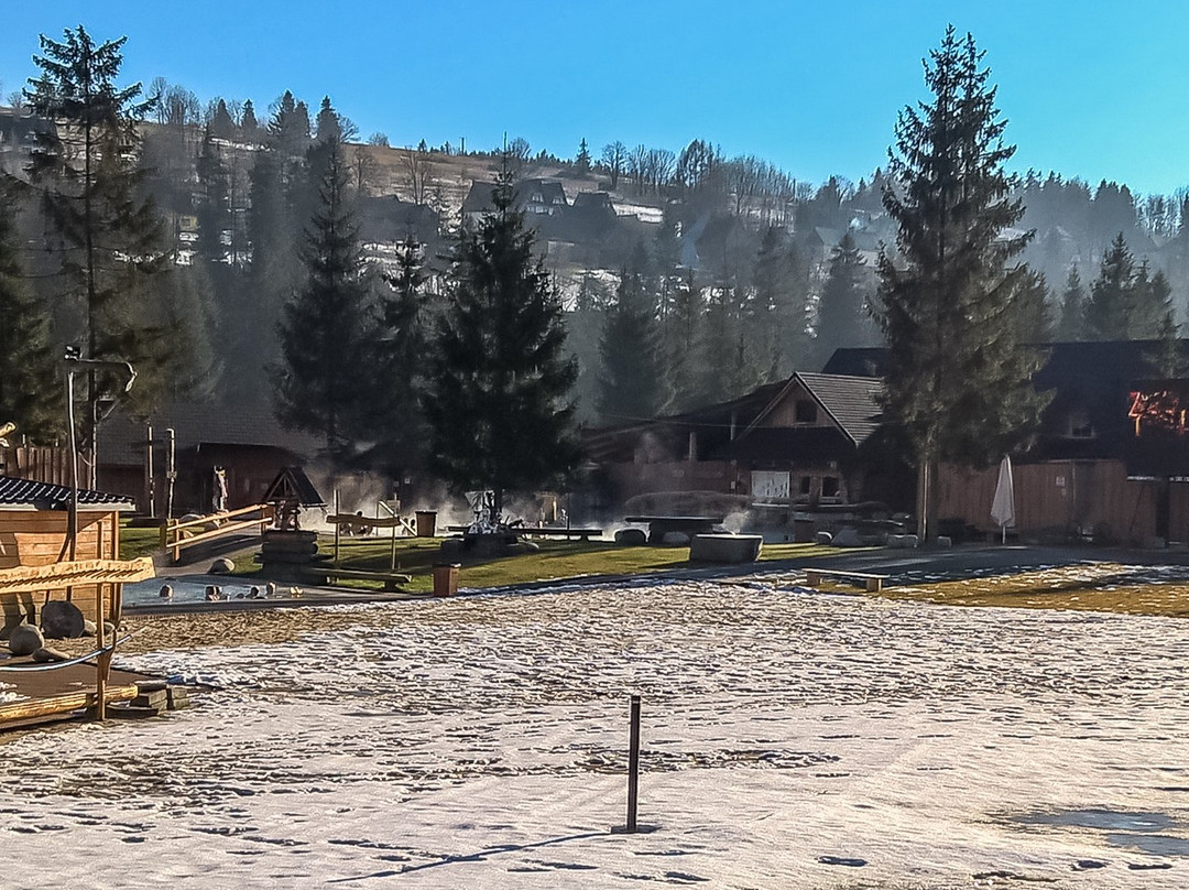 Bialy Dunajec餐馆和美食-Restauracja Beef Master