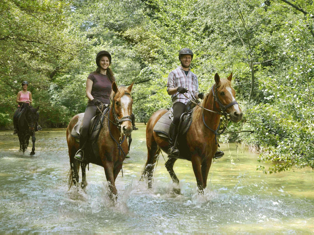 Prategiano - Horse Riding Holiday Tuscany景点图片