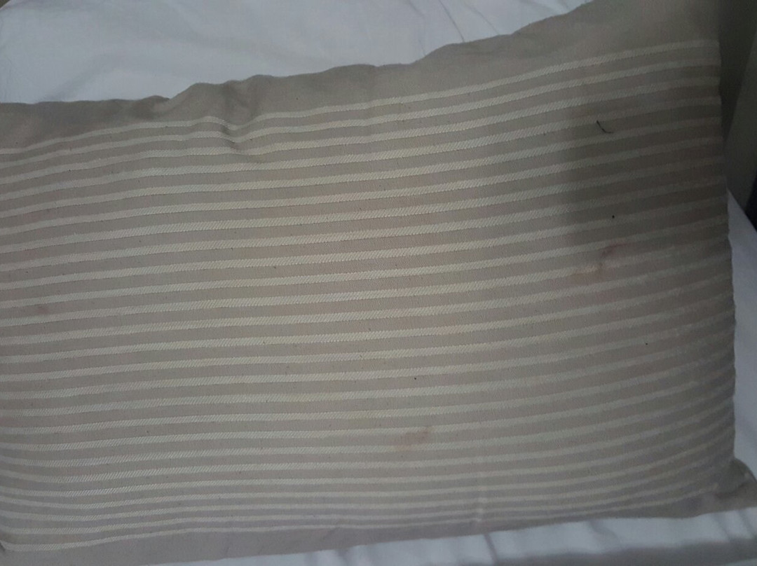 Royal Milano Hotel主图