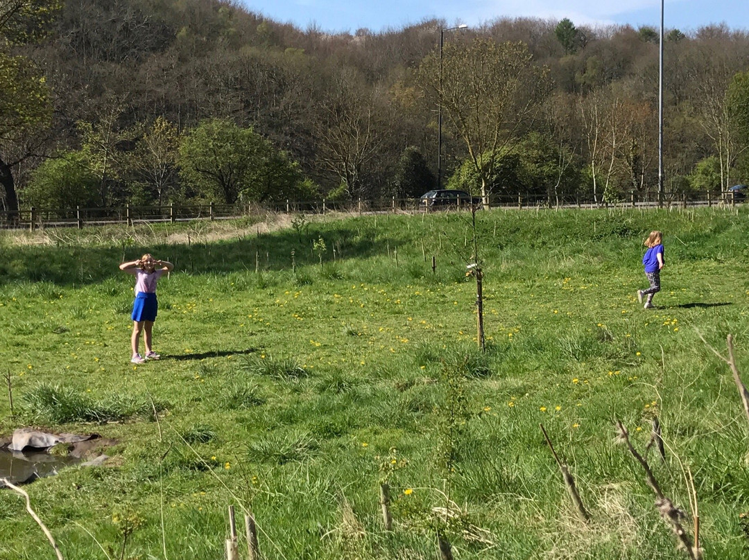 Bennett's Patch and White's Paddock-布里斯托尔必去景点