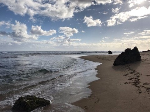 Underwater Explorers