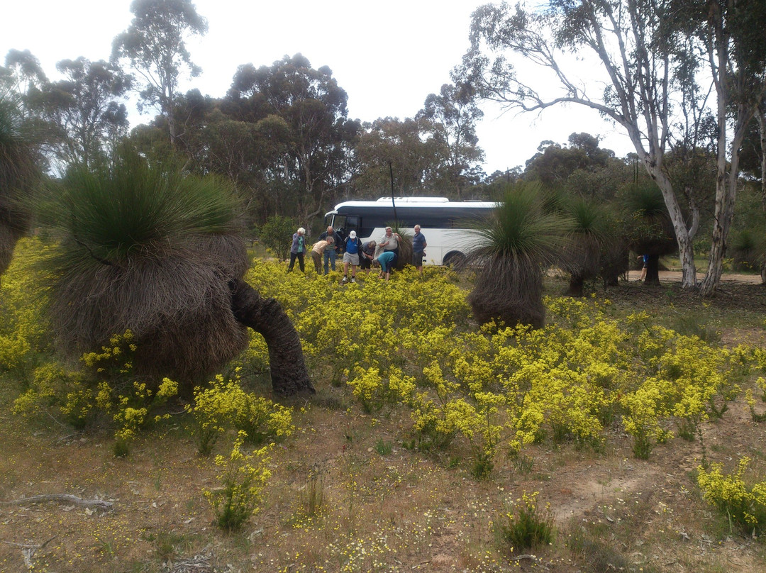 John's Adventure Tours-珀斯必去景点