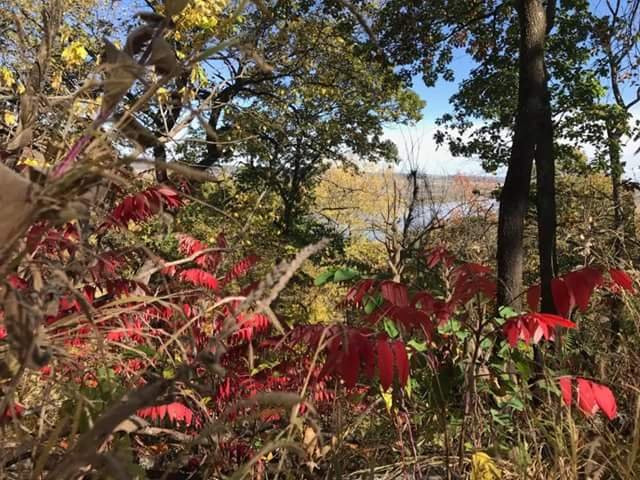 Indian Cave State Park-Shubert必去景点