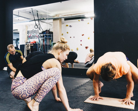 Ravez Movement Academy-海牙必去景点