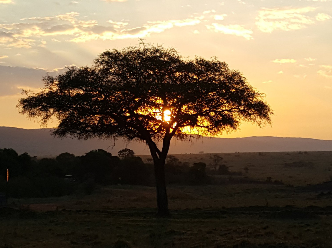 Mara Triangle-马赛马拉国家野生动物保护区必去景点