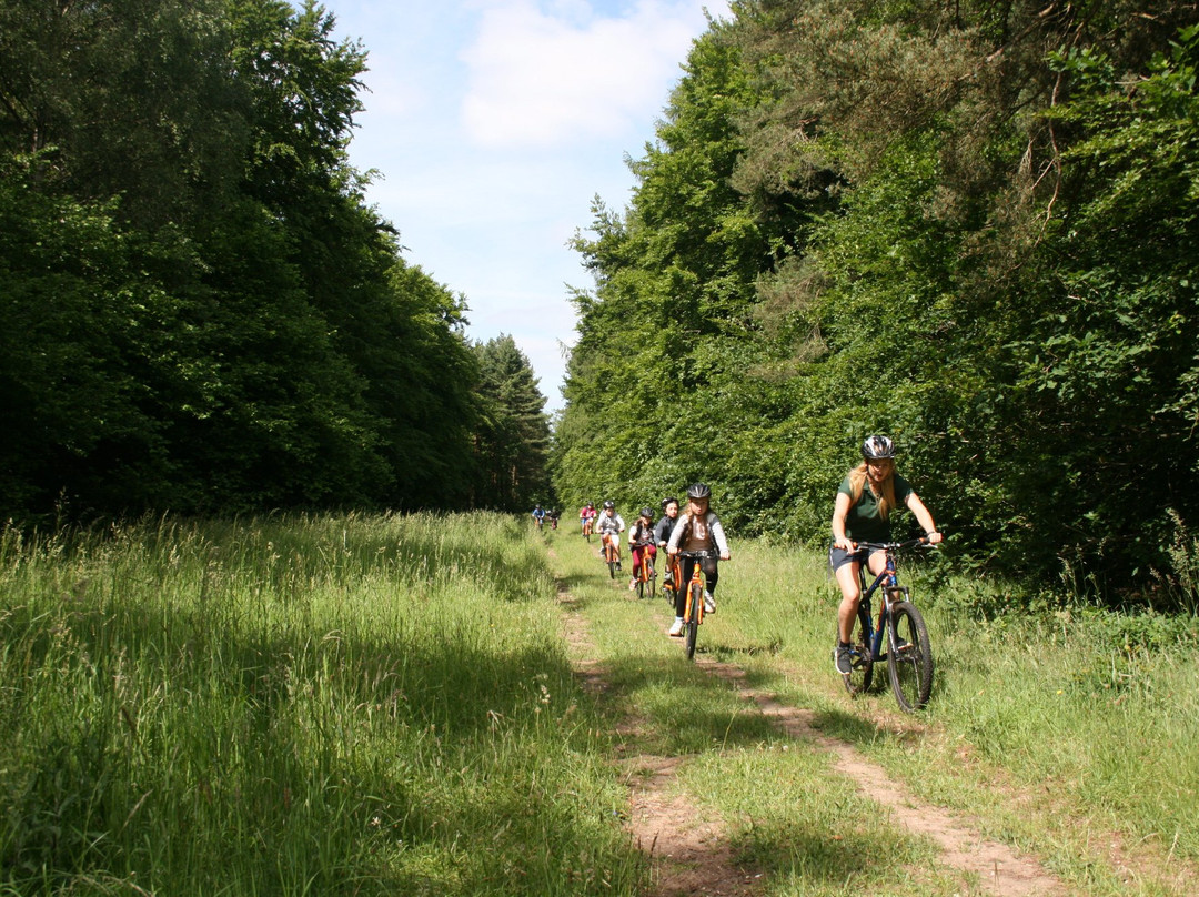 Thorpe Woodlands Adventure Centre景点图片