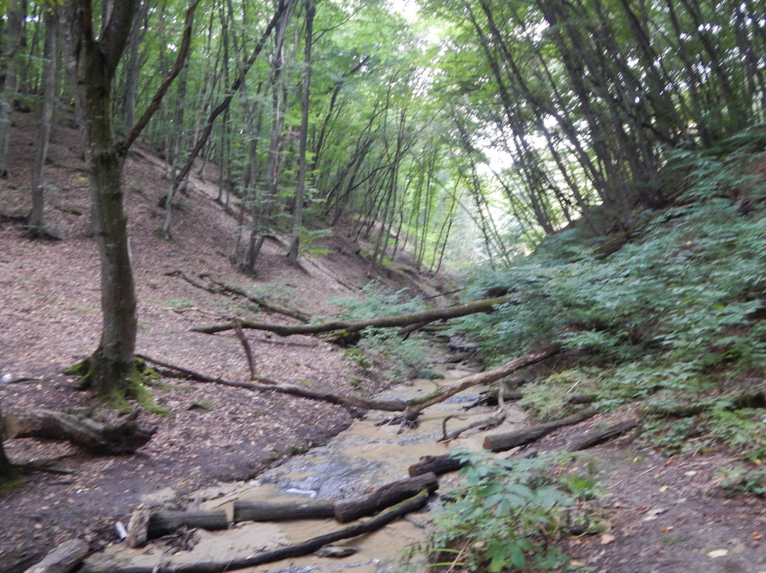 Archeological Museum Preserve Tatar Settlement-Tatarka必去景点