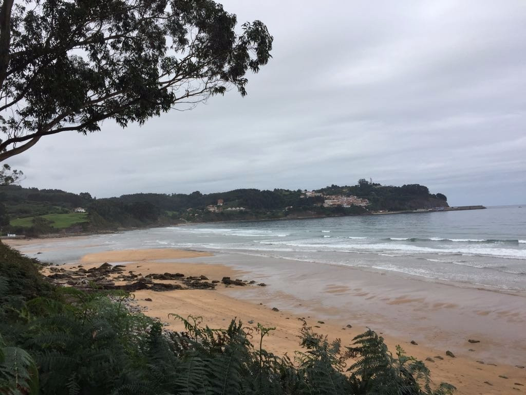 Yacimiento de Icnitas de la playa de la Griega景点图片