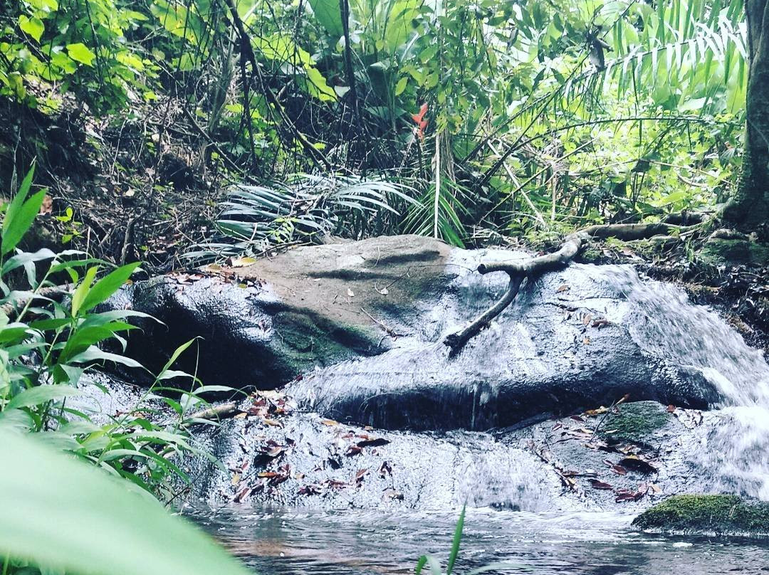 Trilha do Visgueiro-Maragogi必去景点