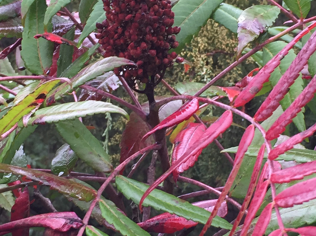 Newton Hills State Park-Canton必去景点