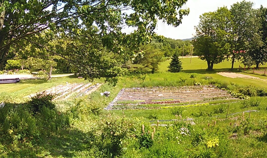 Frelighsburg餐馆和美食-Beat & Betterave