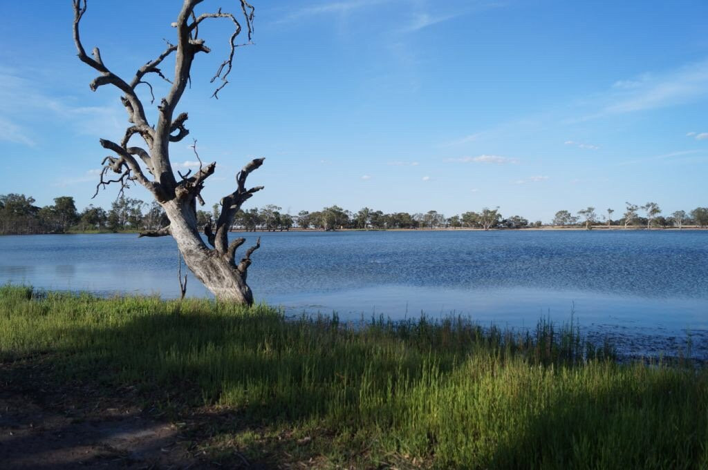 Wooroonook Lakes景点图片